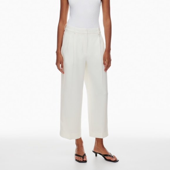 Aritzia Pants - NWT Aritzia Babaton Pleated Cropped Pant